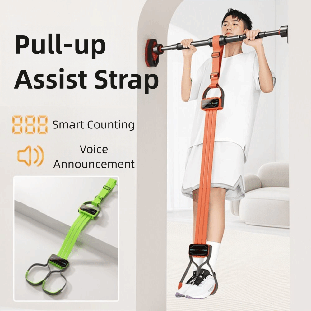 Set di Fasce di Resistenza Reg - Pull Up Assist Band recensione e prezzo
